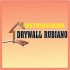 DISTRIBUIDORA DRYWALL RUBIANO