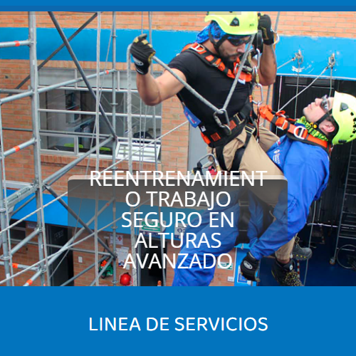 Distribucion y serviciosjas