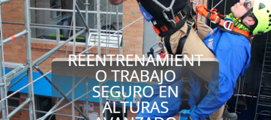Distribucion y serviciosjas
