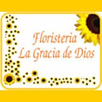 FLORISTERIA_LA_GRACIA_DE_DIOS_banner