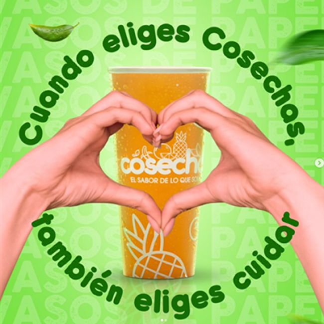 Cosechas Leticia