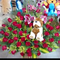 Floristeria-PAOLA-banner
