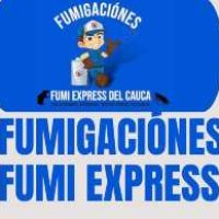 FumiExpress Cauca bANNER