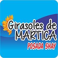 GIRASOLES DE MARTICA_BANNER