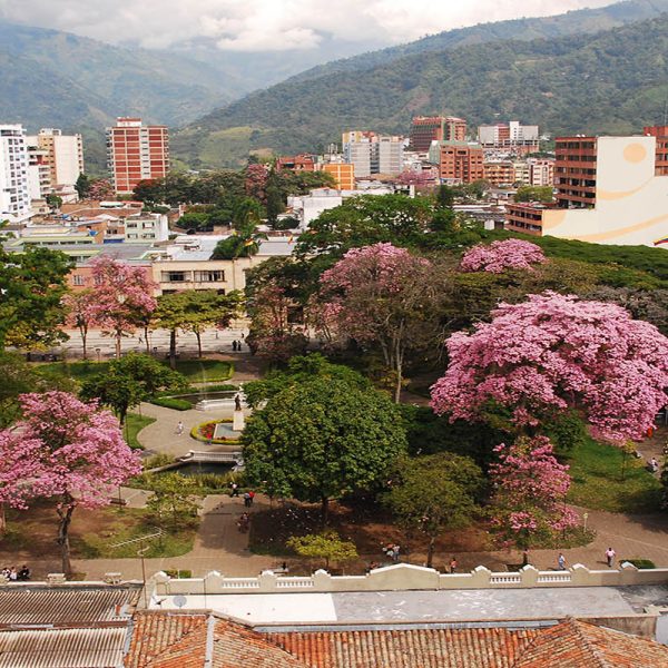 Ibague Tolima