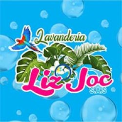 Lavanderia Liz Joc
