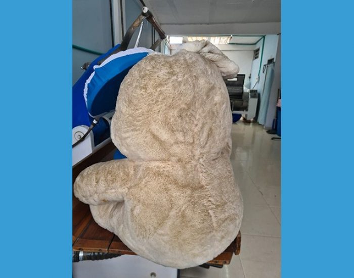 LAVADO DE PELUCHES