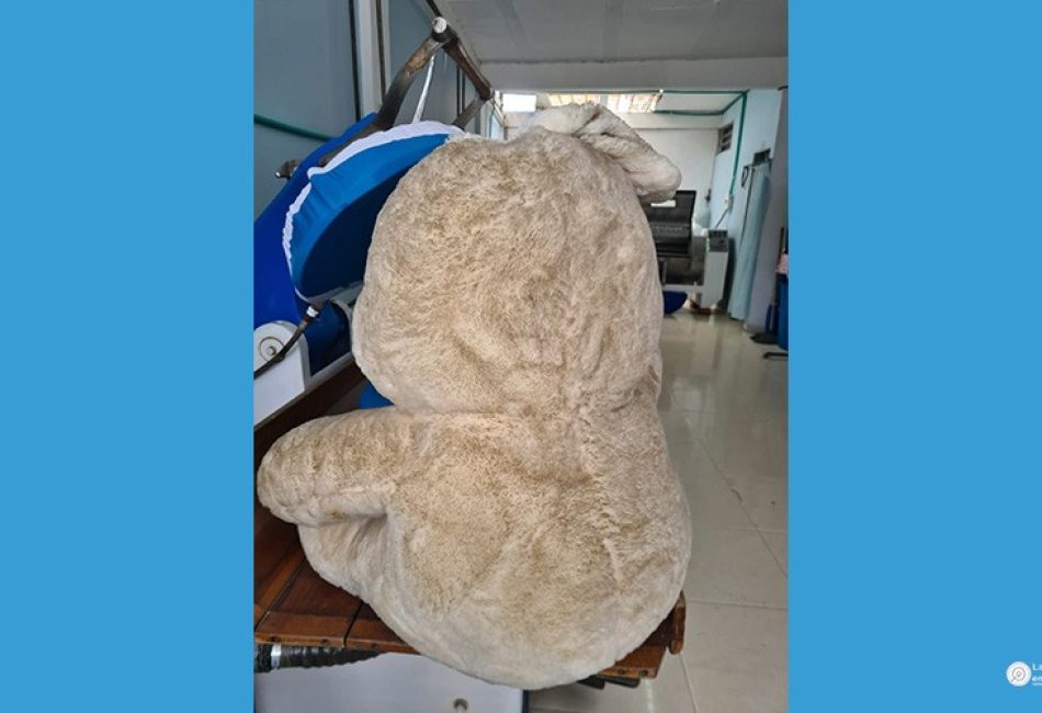 LAVADO DE PELUCHES