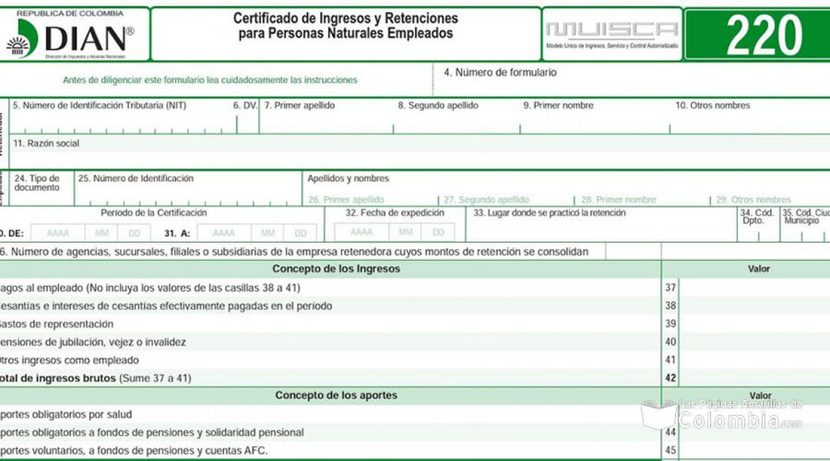 LES SERVICIOS Y ASESORIAS_