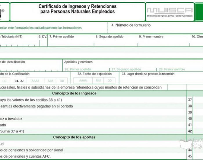 LES SERVICIOS Y ASESORIAS_