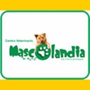 MASCOLANDIA_VETERINARIA_banner-1