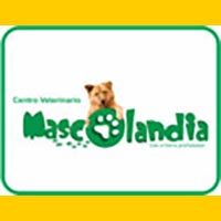 MASCOLANDIA_VETERINARIA_banner-1