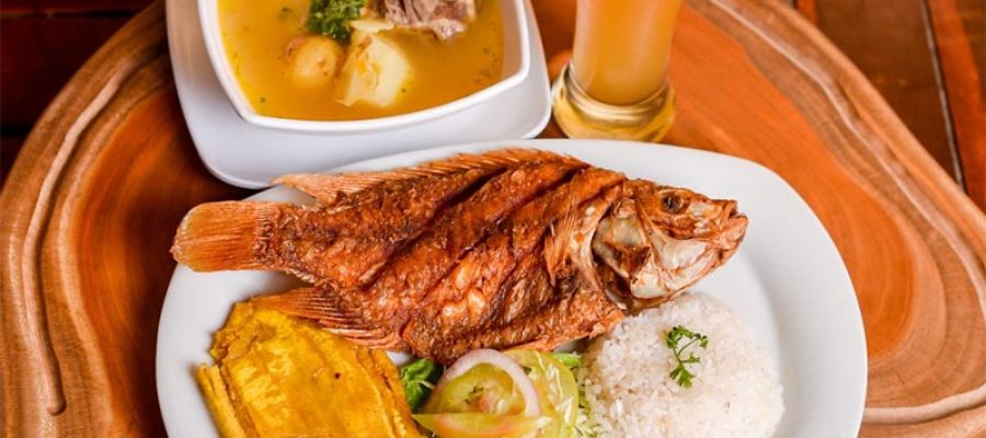 mojarra dorada