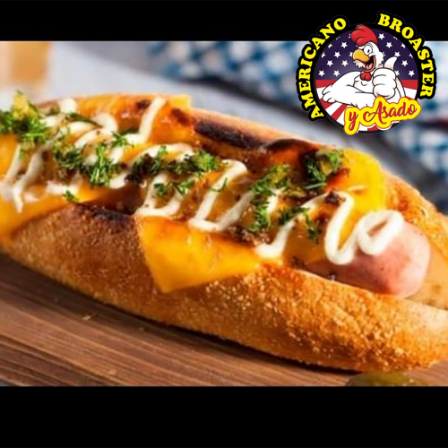 PERRO ESPECIAL AMERICANO