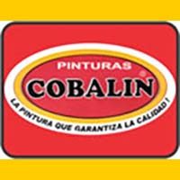 PINTURASCOBALIN_banner