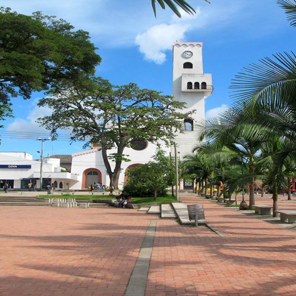 Pitalito Huila