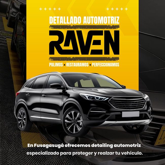 RAVEN Car Detailing