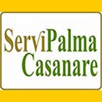 SERVIPALMA-CASANARE_banner