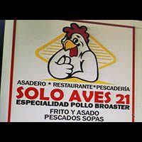 Solo-aves-21-BANNER