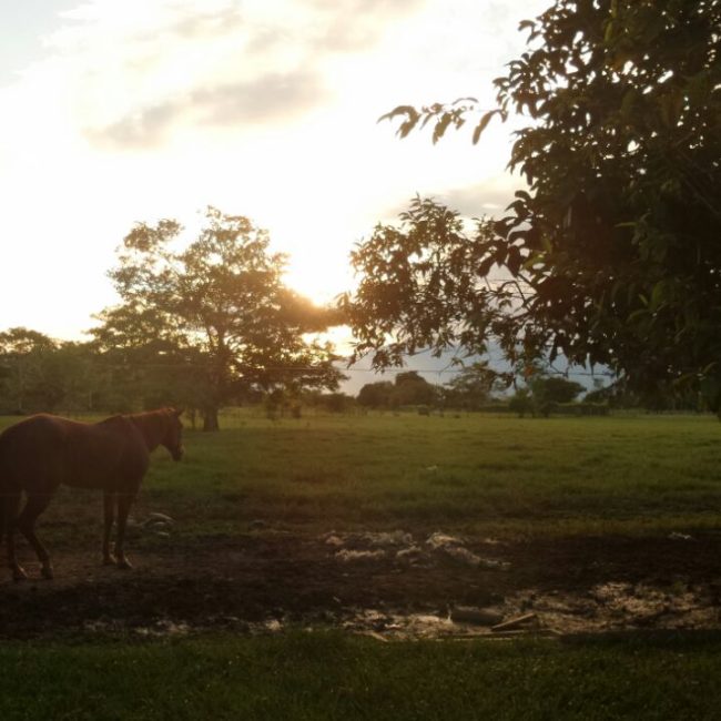 Vendo Estupendos Lotes de Finca cerca a Restrepo Meta