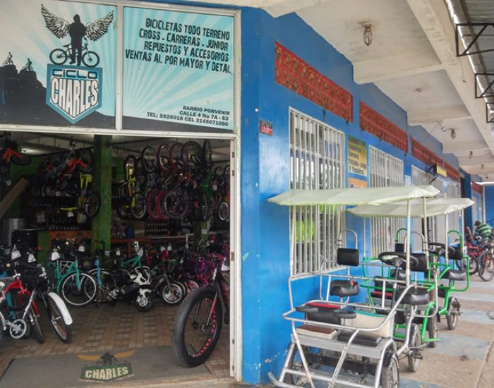 CICLO CHARLESS