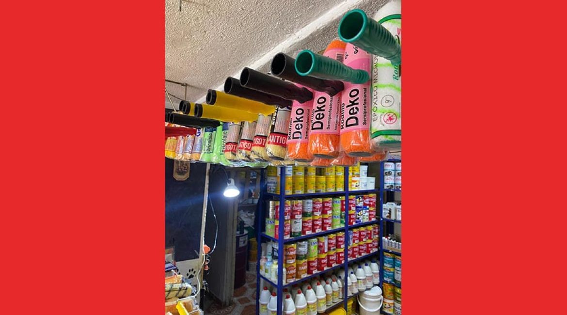 MAKRO PINTURAS POTOSI