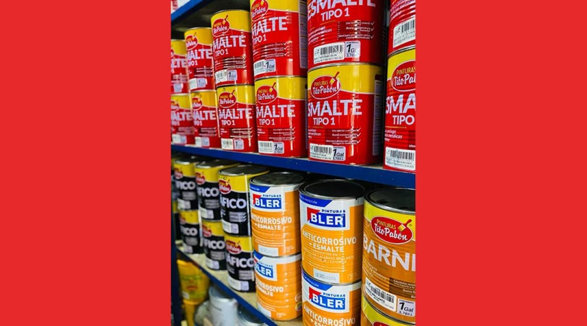 MAKRO PINTURAS POTOSI