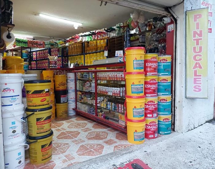 MAKRO PINTURAS POTOSI