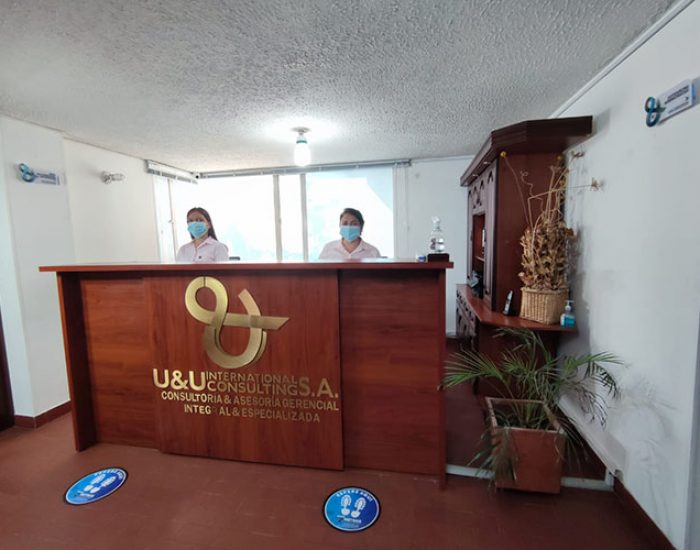 U & U INTERNATIONAL CONSULTING SA