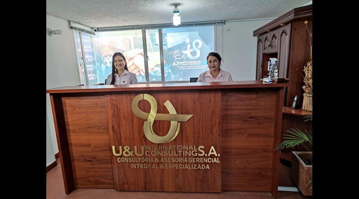 U & U INTERNATIONAL CONSULTING SA