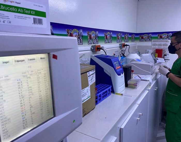 SAN PABLO CENTRO VETERINARIO INTEGRAL