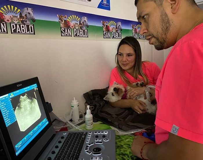 SAN PABLO CENTRO VETERINARIO INTEGRAL