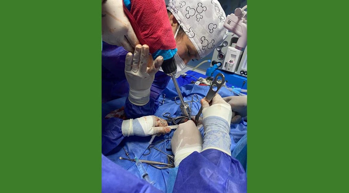 SAN PABLO CENTRO VETERINARIO INTEGRAL