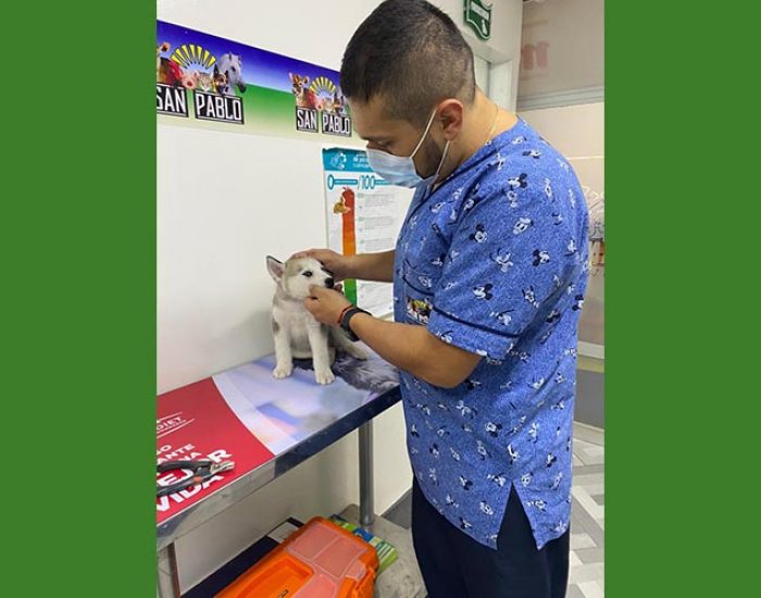 SAN PABLO CENTRO VETERINARIO INTEGRAL