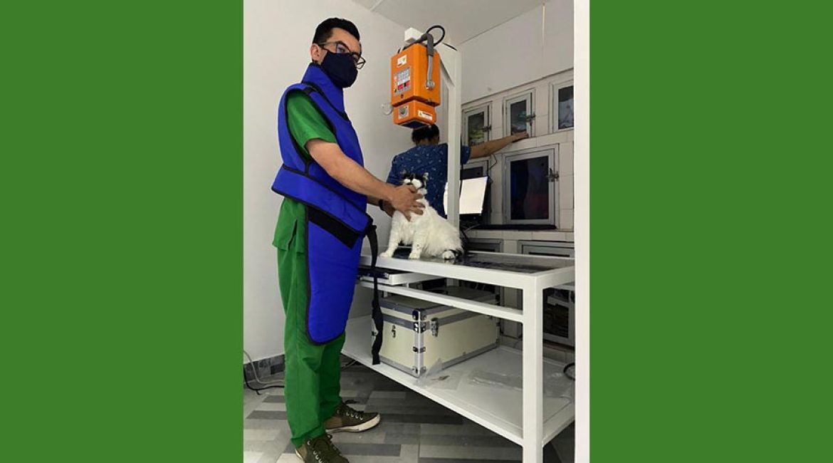 SAN PABLO CENTRO VETERINARIO INTEGRAL