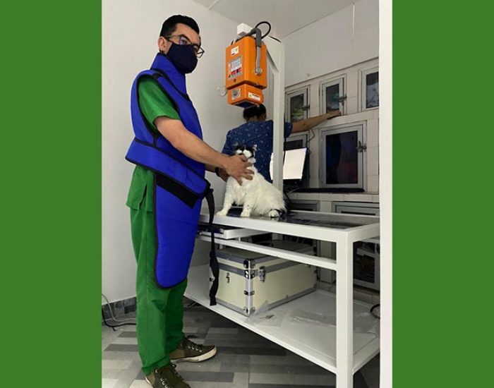 SAN PABLO CENTRO VETERINARIO INTEGRAL