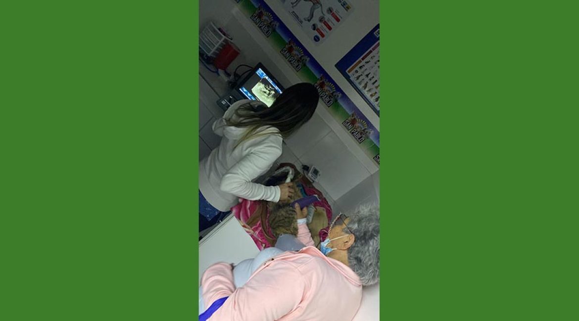 SAN PABLO CENTRO VETERINARIO INTEGRAL