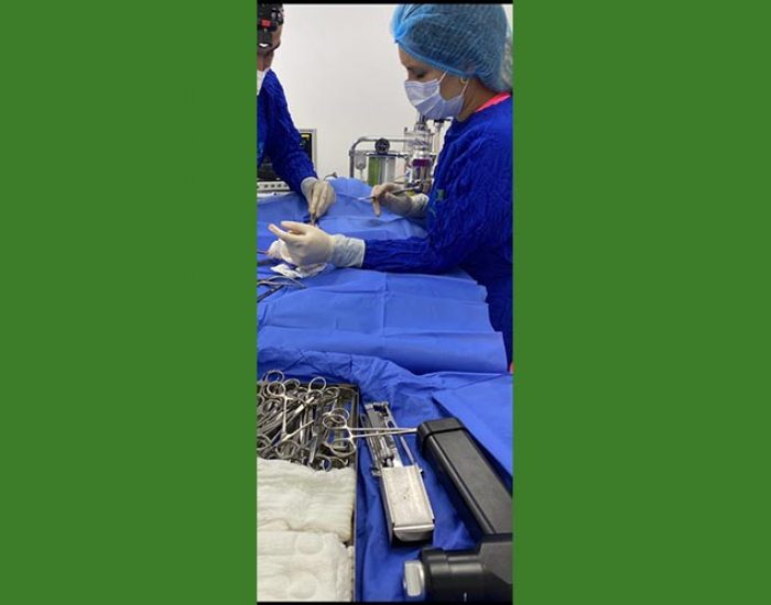 SAN PABLO CENTRO VETERINARIO INTEGRAL
