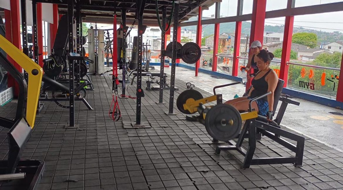 Muscle Fitness gym