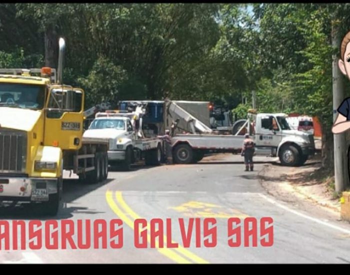 Transgruas Galvis