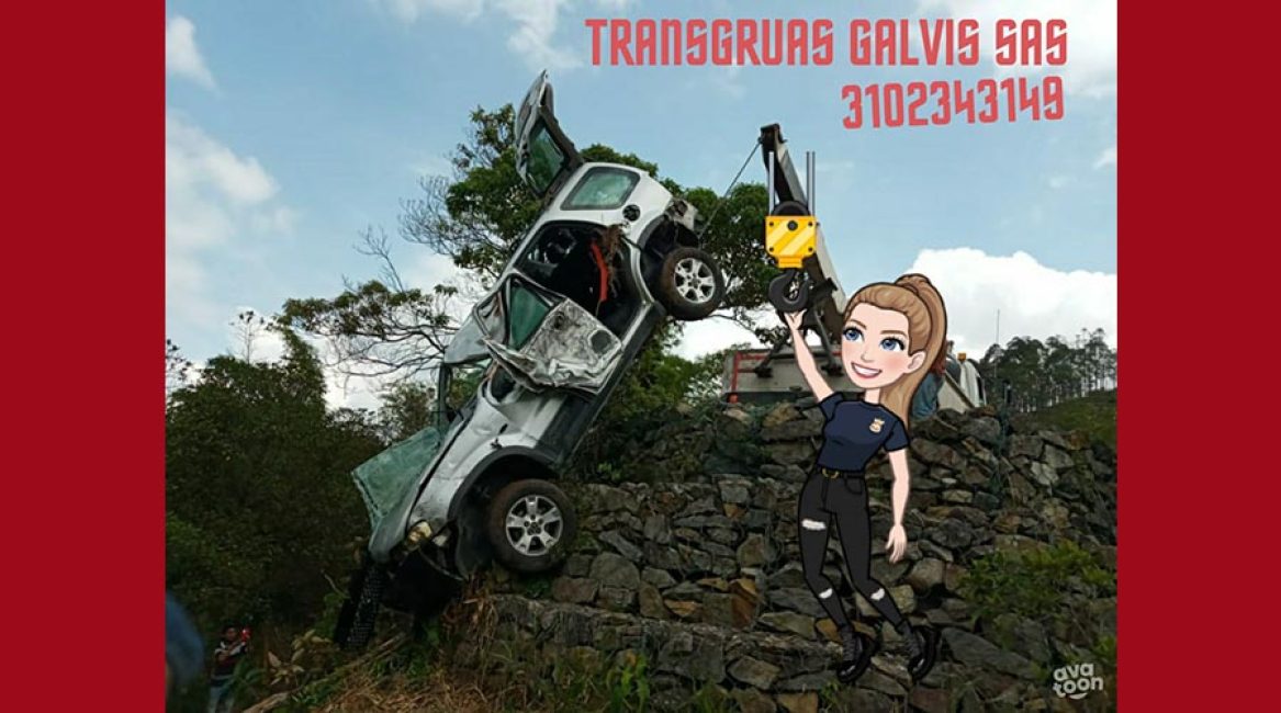 Transgruas Galvis