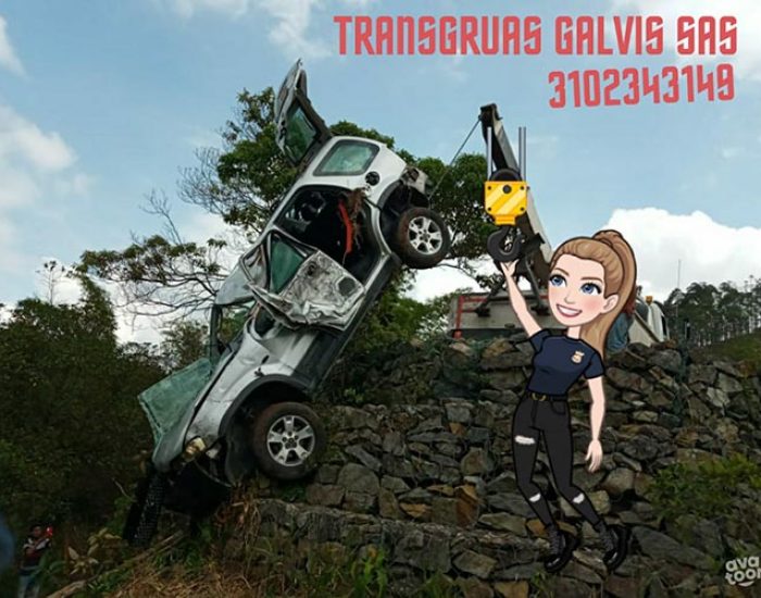 Transgruas Galvis