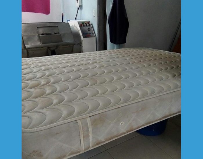 LAVASECO SUPER-MATIC PITALITO