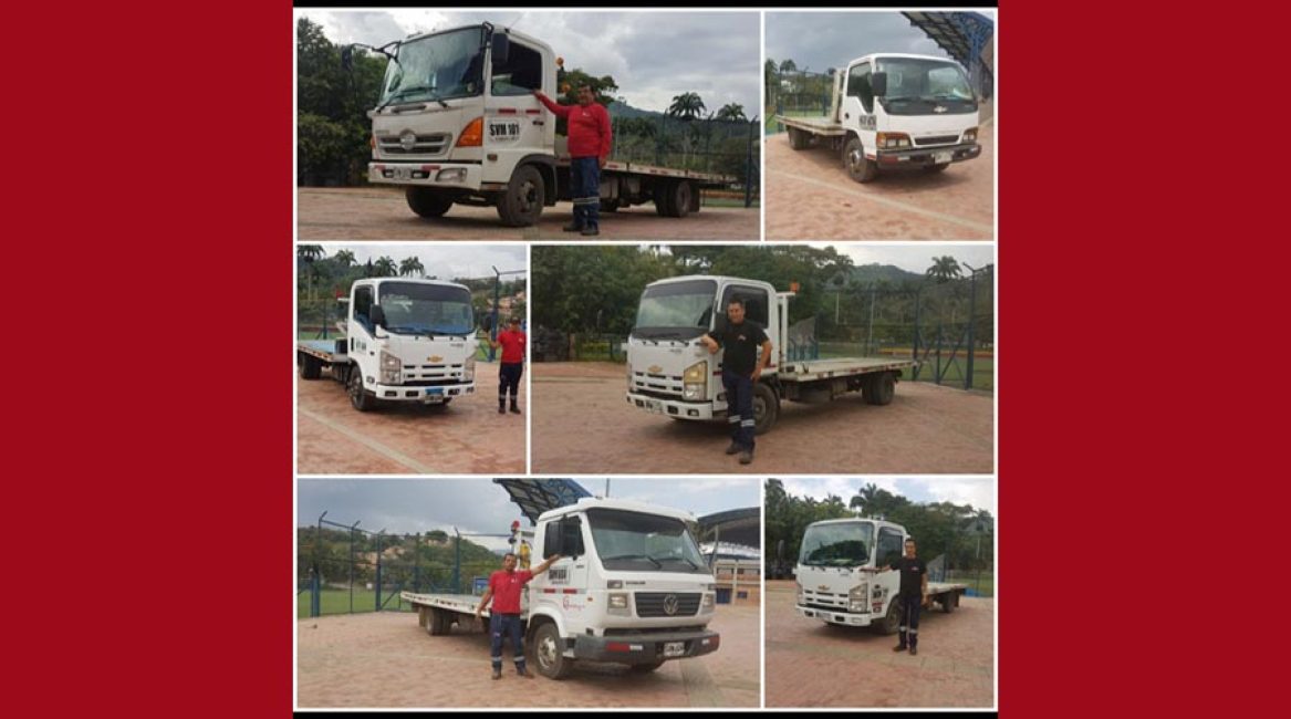 Transgruas Galvis
