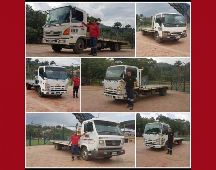 Transgruas Galvis