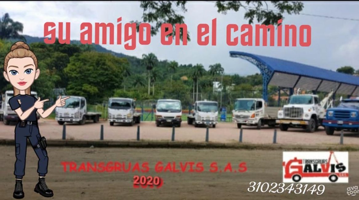 Transgruas Galvis