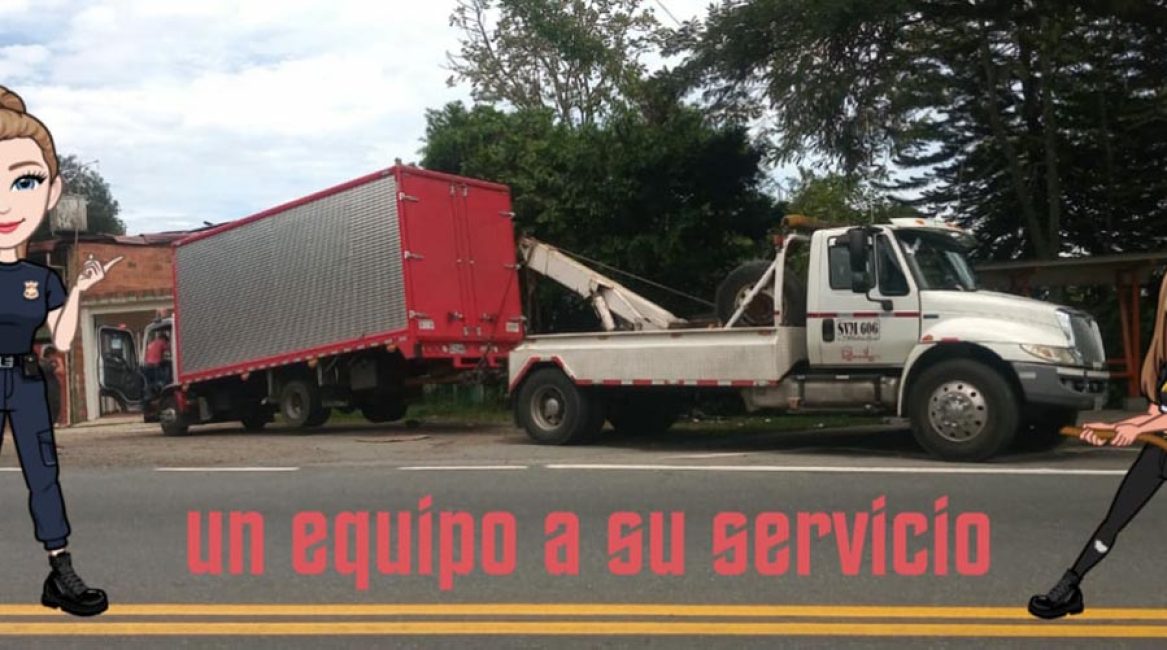 Transgruas Galvis