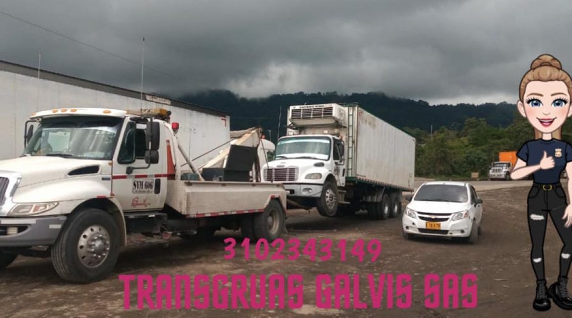 Transgruas Galvis