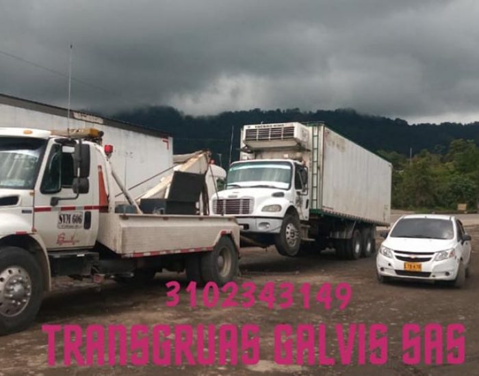 Transgruas Galvis