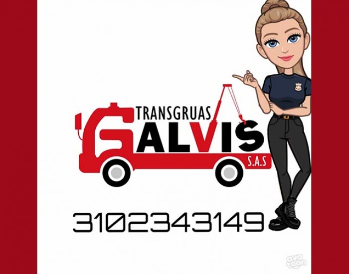 Transgruas Galvis